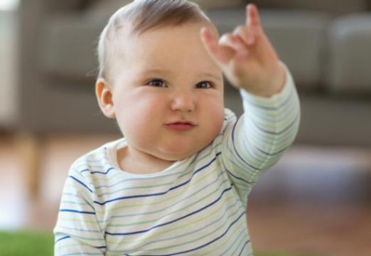 ベビーサイン言語の認知的利益は、赤ちゃんの脳の発達において重要です。